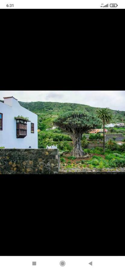 Mireya Home Icod De Los Vinos Exterior foto